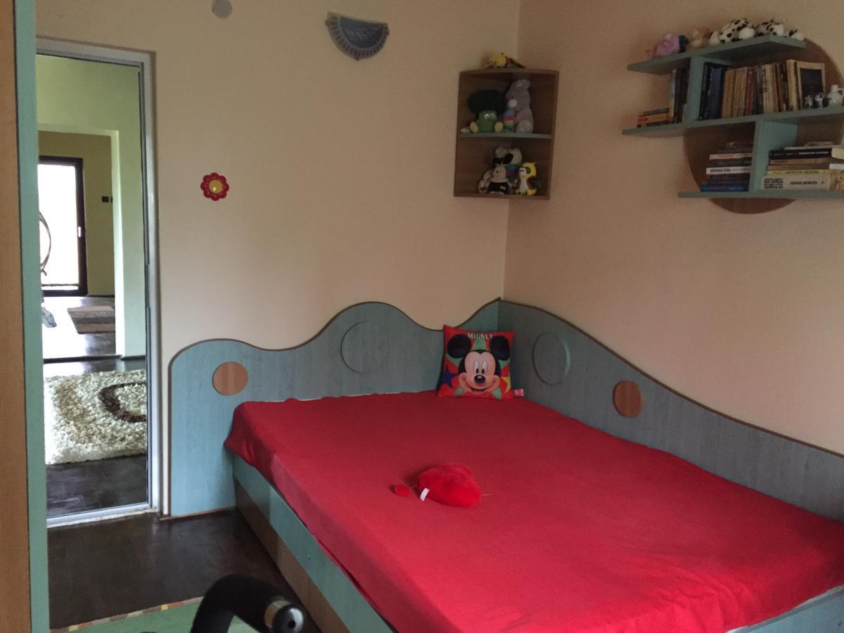 Guesthouse Vila Melisa Răsvadu de Sus Dış mekan fotoğraf