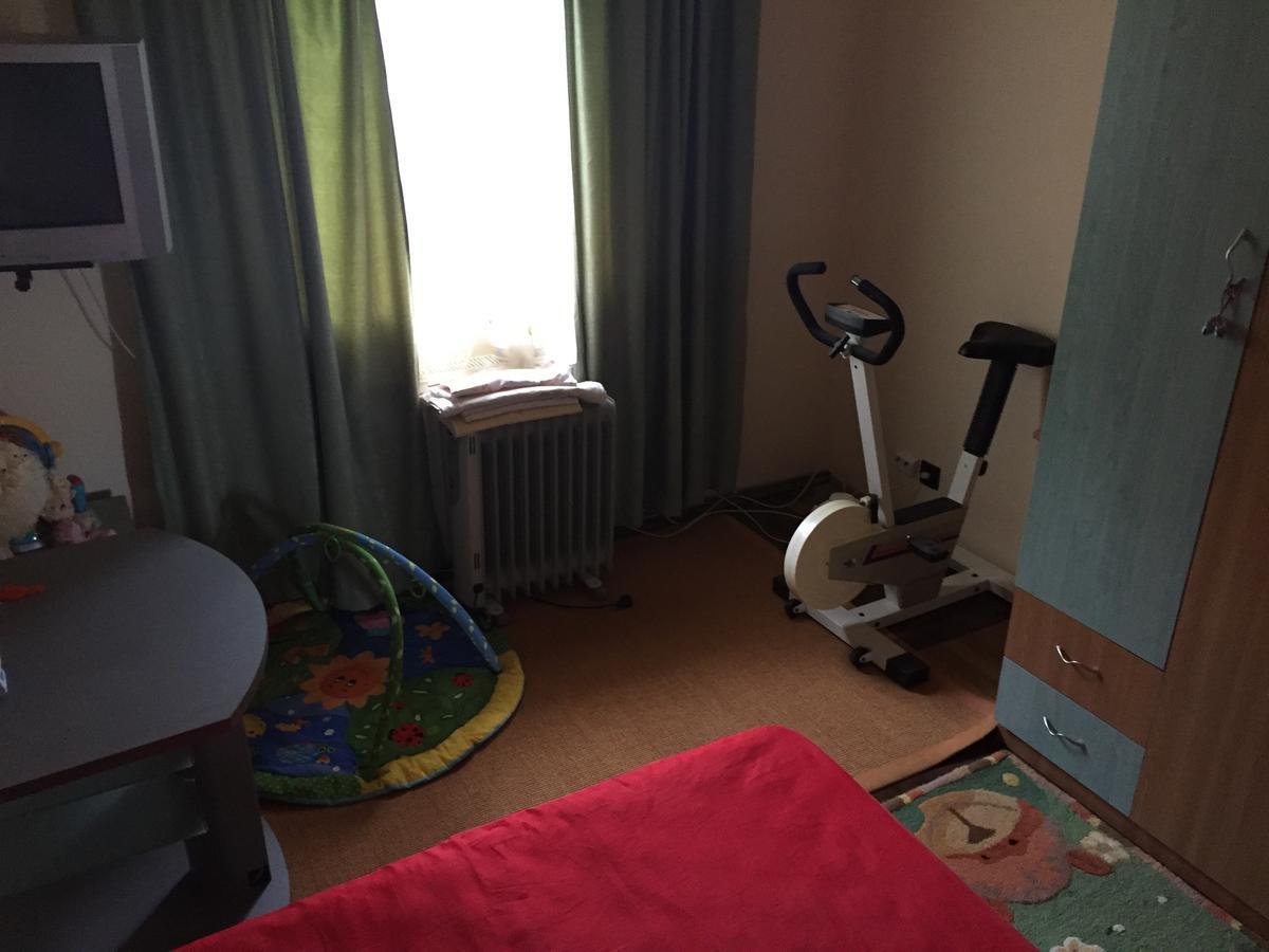 Guesthouse Vila Melisa Răsvadu de Sus Dış mekan fotoğraf