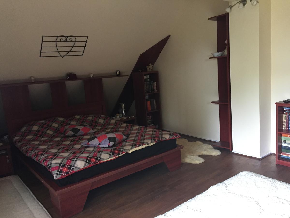 Guesthouse Vila Melisa Răsvadu de Sus Dış mekan fotoğraf
