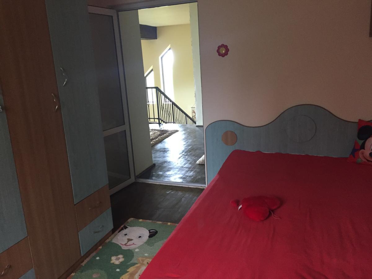Guesthouse Vila Melisa Răsvadu de Sus Dış mekan fotoğraf