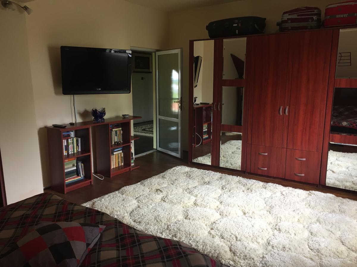 Guesthouse Vila Melisa Răsvadu de Sus Dış mekan fotoğraf