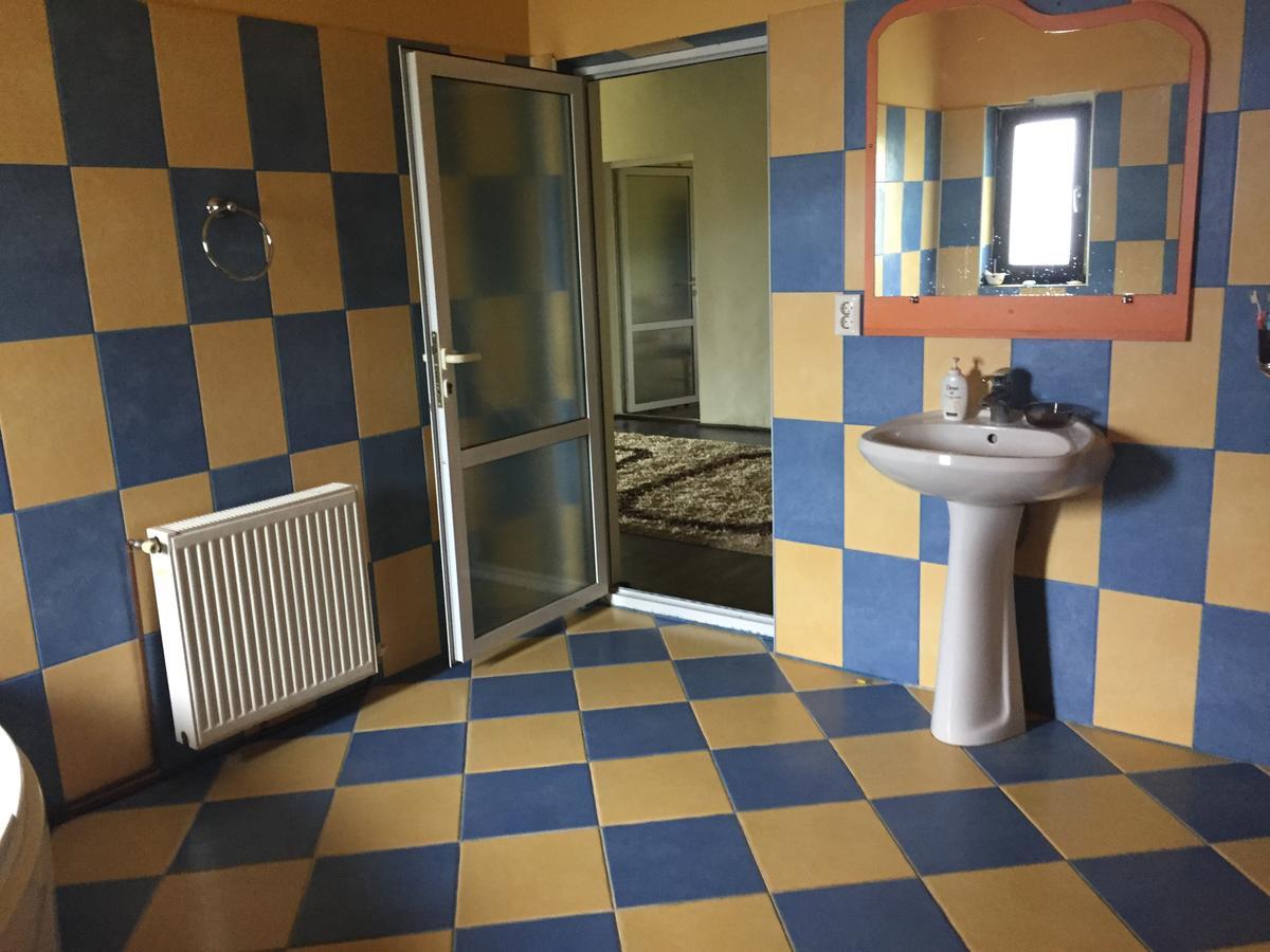 Guesthouse Vila Melisa Răsvadu de Sus Dış mekan fotoğraf