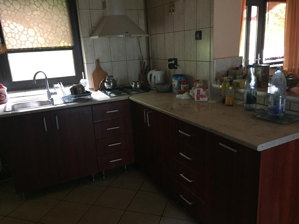 Guesthouse Vila Melisa Răsvadu de Sus Dış mekan fotoğraf