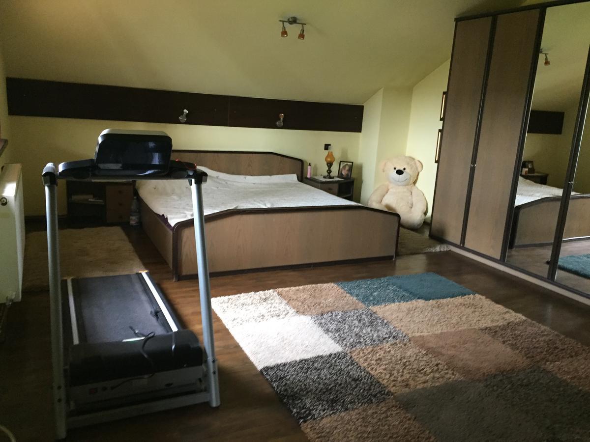 Guesthouse Vila Melisa Răsvadu de Sus Dış mekan fotoğraf