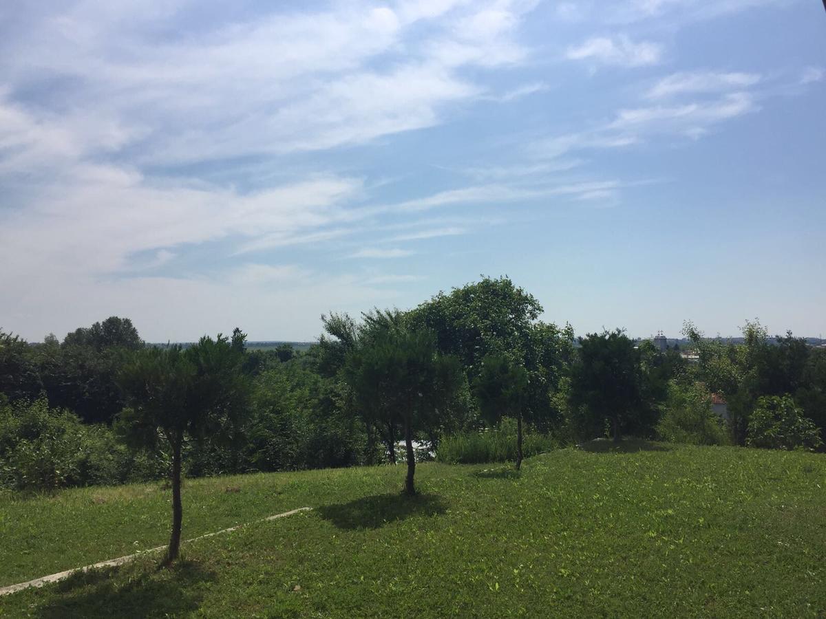 Guesthouse Vila Melisa Răsvadu de Sus Dış mekan fotoğraf