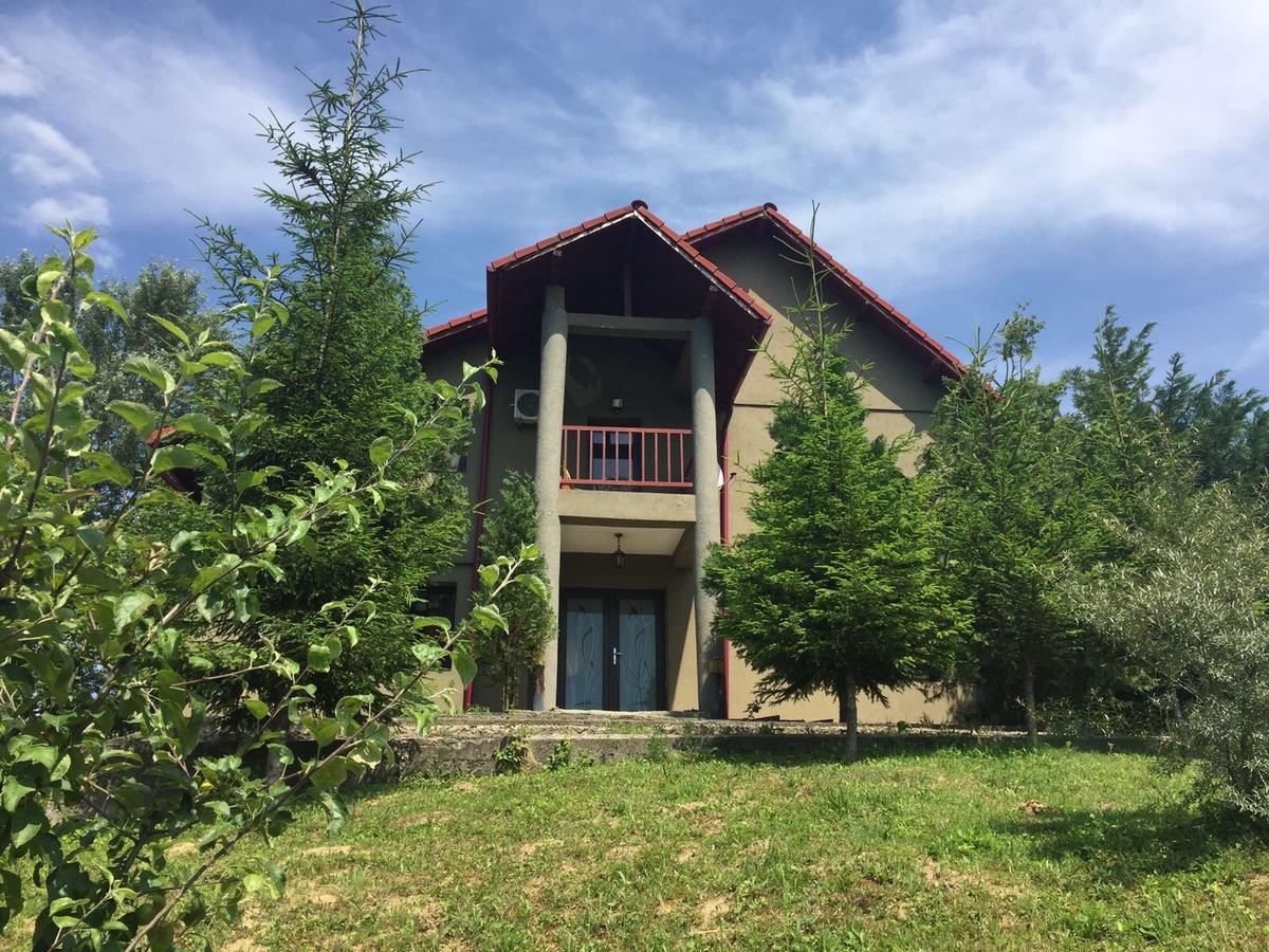 Guesthouse Vila Melisa Răsvadu de Sus Dış mekan fotoğraf
