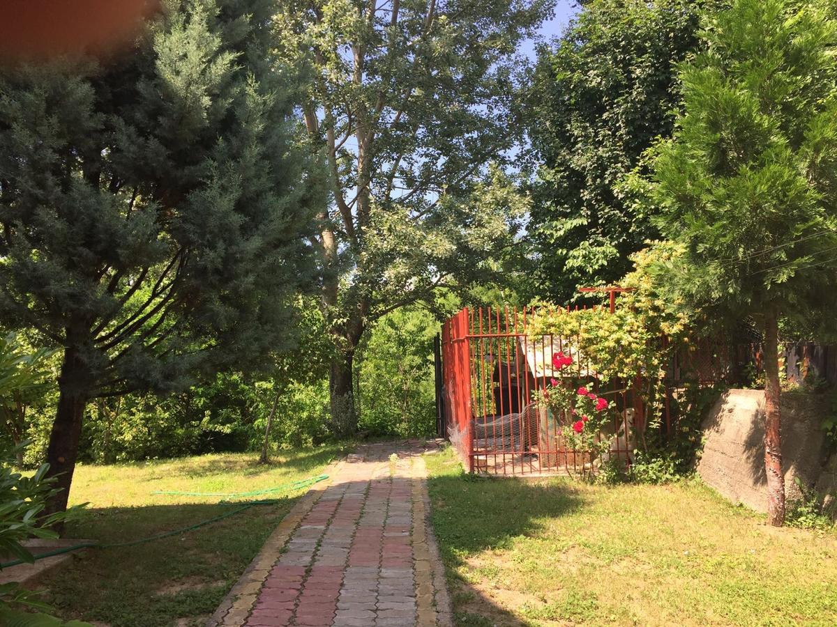 Guesthouse Vila Melisa Răsvadu de Sus Dış mekan fotoğraf