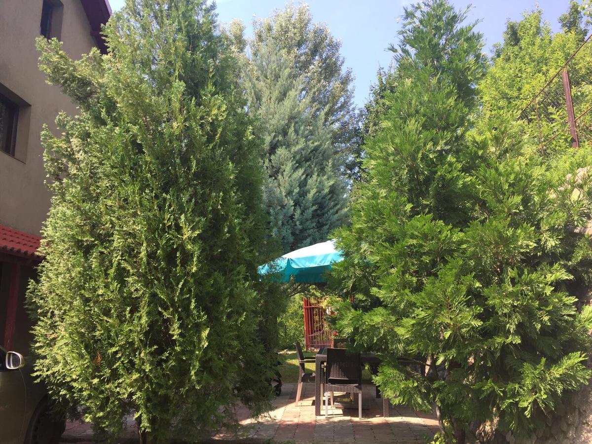 Guesthouse Vila Melisa Răsvadu de Sus Dış mekan fotoğraf