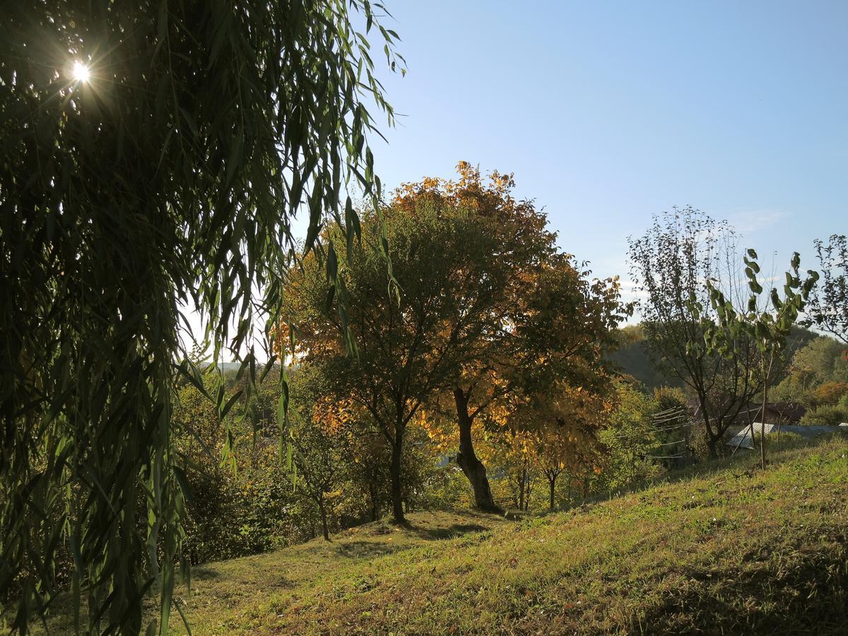 Guesthouse Vila Melisa Răsvadu de Sus Dış mekan fotoğraf